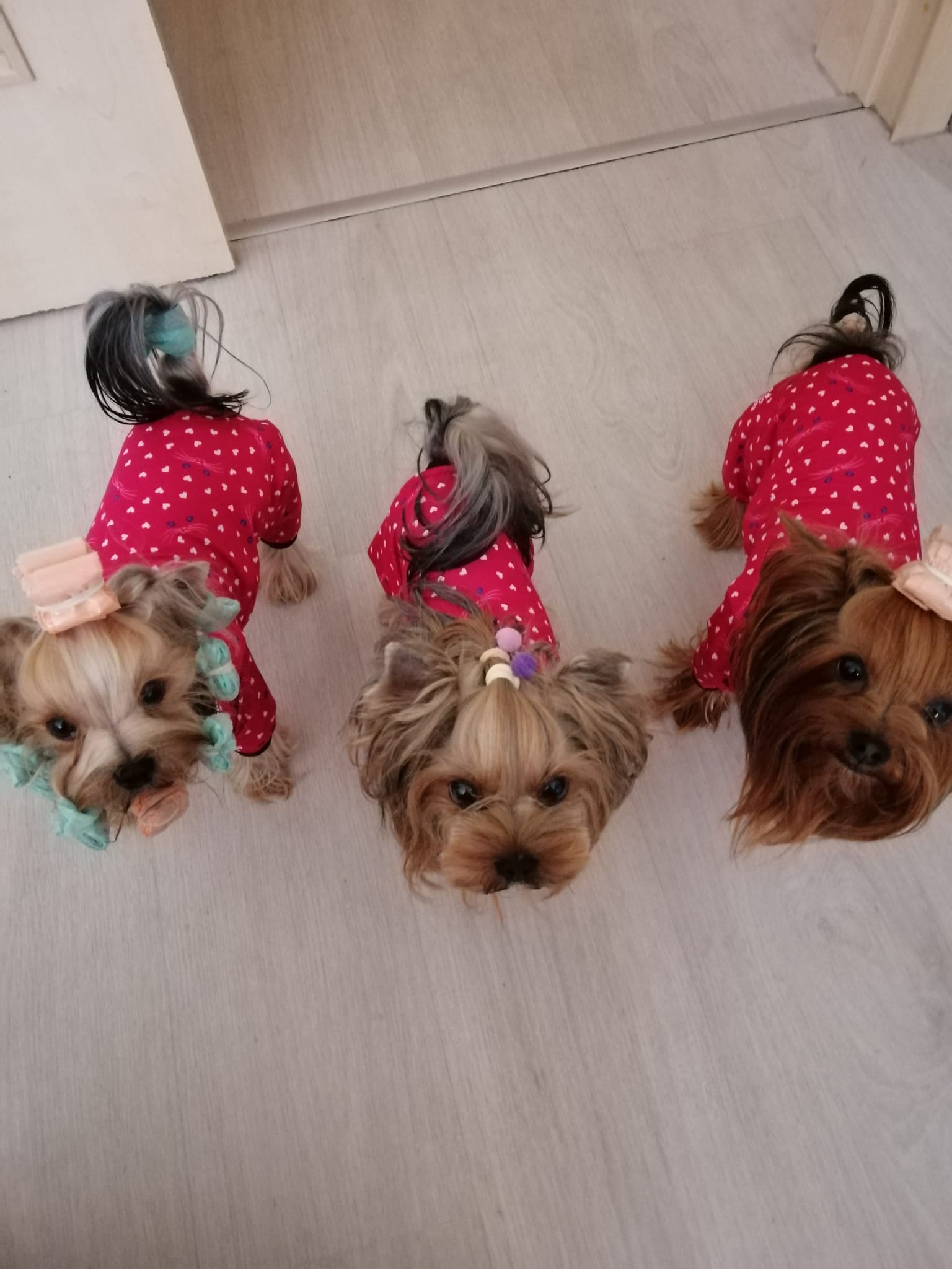 Foto 4